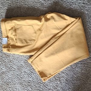 NWT straight fit jeans